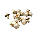 10 x 8.5mm Gold Casting Pearl Rivets with Gold Caps