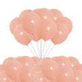 10 Inch Macaron Latex Balloons