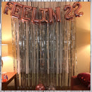 Foil Fringe Tinsel Curtain Backdrop Steamers