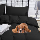 Ultra Soft Duvet Cover with Zipper Closure & 2 Matching Pillow Covers - Single/Double/King