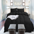 Ultra Soft Duvet Cover with Zipper Closure & 2 Matching Pillow Covers - Single/Double/King