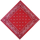Unisex Bandana For Head And Neck Scarf, Kerchief, Wristband, Headwear, Rave Parties, Outdoors, Holidays