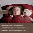 Ultra Soft Duvet Cover with Zipper Closure & 2 Matching Pillow Covers - Single/Double/King