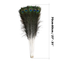 Natural Peacock Feathers Real Loose Peacock Feather for Decoration, DIY Art & Craft
