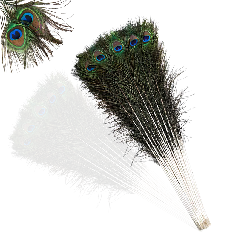 Natural Peacock Feathers Real Loose Peacock Feather for Decoration, DIY Art & Craft