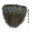 Natural Peacock Feathers Real Loose Peacock Feather for Decoration, DIY Art & Craft
