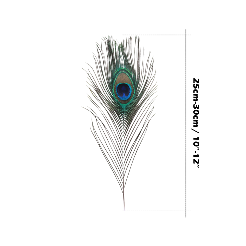 Natural Peacock Feathers Real Loose Peacock Feather for Decoration, DIY Art & Craft