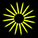 6" Neon Colours Premium Lanyard Glow Sticks 25pcs Glow Rod For Party Night