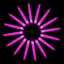 6" Neon Colours Premium Lanyard Glow Sticks 25pcs Glow Rod For Party Night