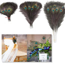 Natural Peacock Feathers Real Loose Peacock Feather for Decoration, DIY Art & Craft
