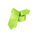 Men’s Satin Neck Ties Party Wear Clothing