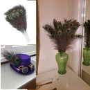 Natural Peacock Feathers Real Loose Peacock Feather for Decoration, DIY Art & Craft